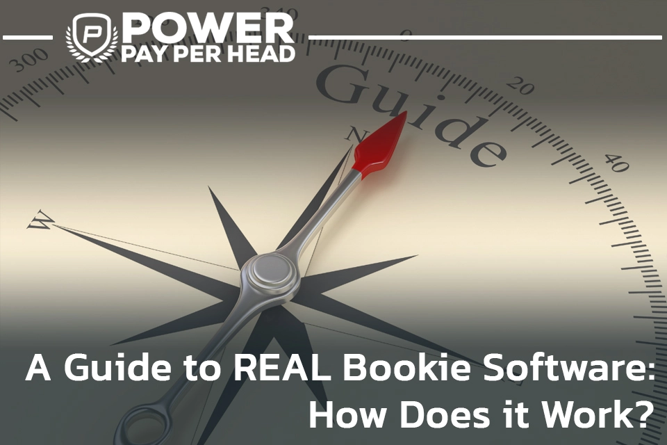 A Guide to REAL Bookie Software: How Does it Work?