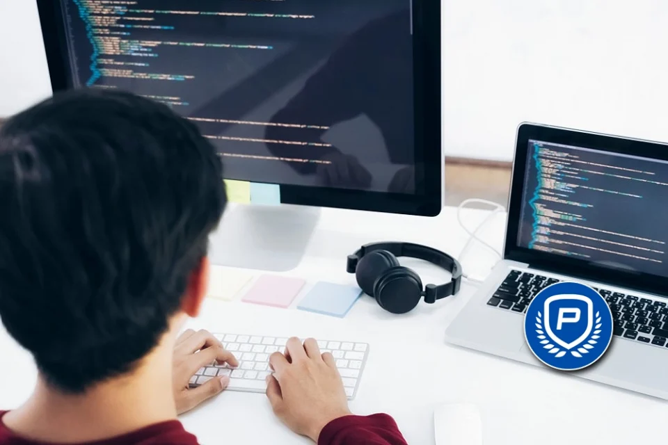Price Per Head Sportsbook Software Explained