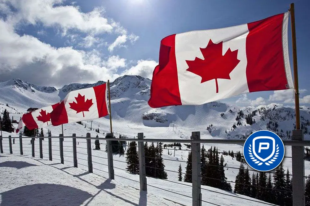 Start Your Own Sportsbook in Canada