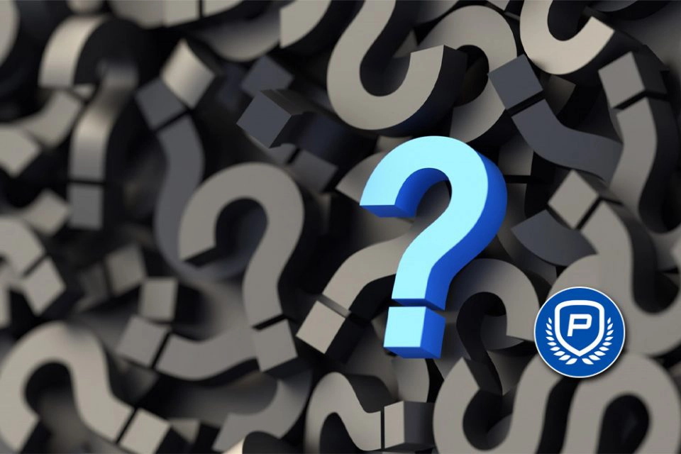 What Is Price Per Head Service