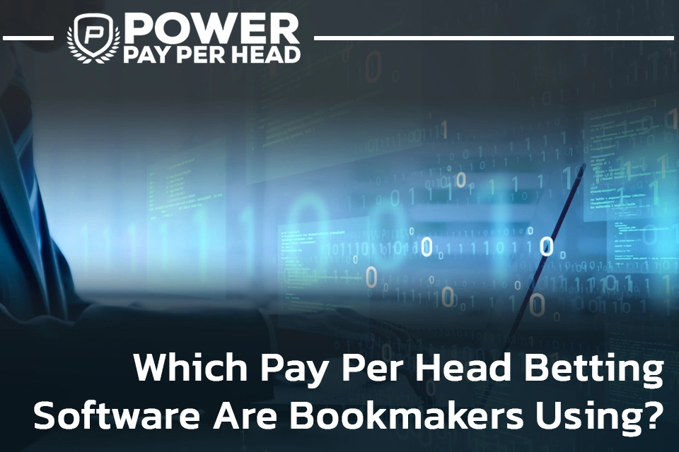 Which PPH Betting Software Are Bookmakers Using?