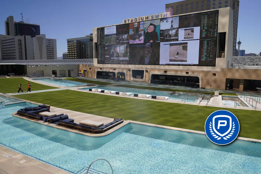 Why Your Sports Wagering Software Must Have the Best Live Wagering Platform