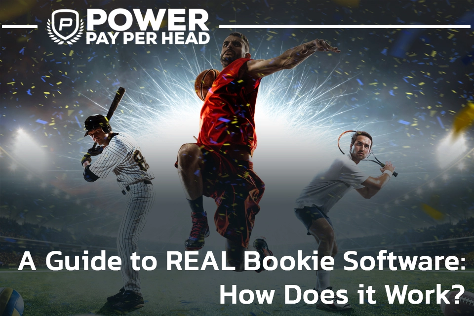 Pay Per Head Sports and How to Make a Profit with Your Sportsbook